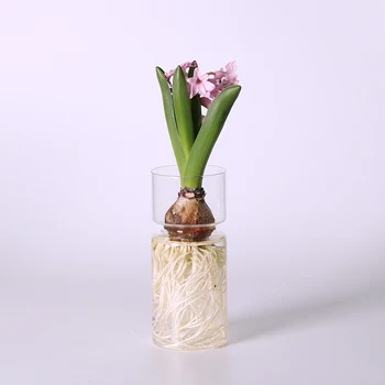 Limpar Vidro Vaso de Flor Hidropônico de Plantas Titular Recipiente Bud Vaso para Flores Pequenas