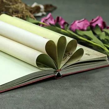 2022 Retro flor diário mão de contabilidade de estilo Chinês, caderno de estudante full-color de página do bloco de notas do caderno do livro